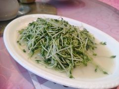 炒豆苗-同君福大酒楼(紫新路店)