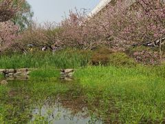 -秀丽东方