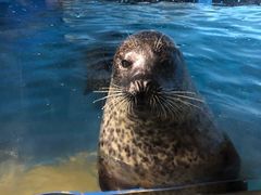 -太平洋海底世界