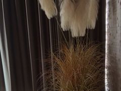 -端艾堂·SPA·艾灸(棕榈泉013店)
