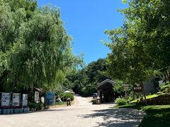 -云峰山自然风景区