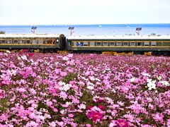 -青海湖二郎剑景区