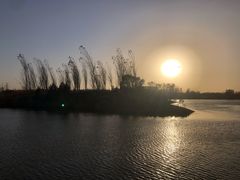 -东郊湿地公园