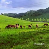 西安向西两百多公里，去追逐25°的夏天