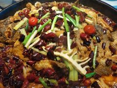 -老板恋上鱼(恒隆广场店)