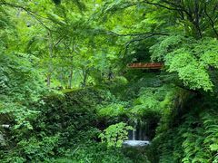 -三千院