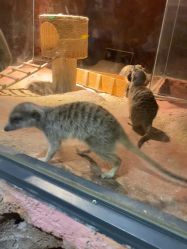 -酷嗒动物文化乐园(cutezoo西溪乐天城店)