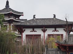 -中国红海