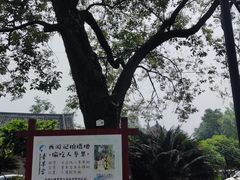 -青羊宫