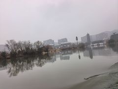 -长兴太湖图影湿地文化园