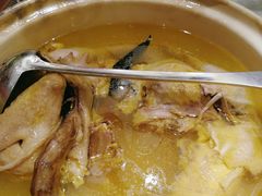 石耳炖肥西老母鸡汤-同庆楼(金宝汇店)