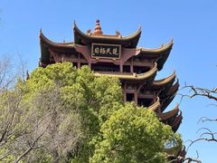 -黄鹤楼公园(黄鹤楼)