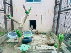 -青藏高原野生动物园