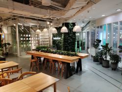 -悦诗风吟innisfree