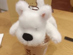 -COSTA COFFEE(哈尔滨凯德学府店)