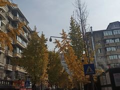 -奎星楼街