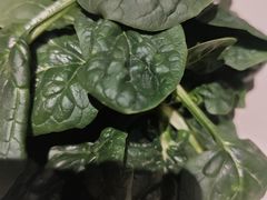 -海底捞火锅(海悦天地店)