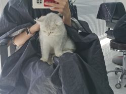 -熙.Hair 丨专注女子中长发丨