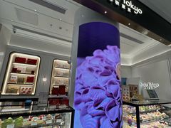 -布歌东京(合生汇店)