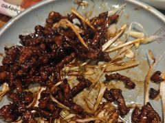 -小吊梨汤·北京菜·烤鸭(鸟巢店)