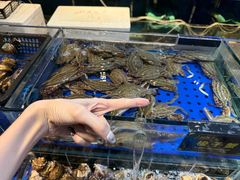 -九月海·海鲜自助(世纪东方店)