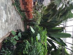 iphone_upload_pic-龙达温泉生态城