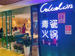 -青瓷火锅料理(西单大悦城店)