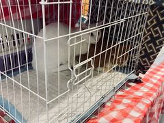 -北京华联购物中心(天通苑店)