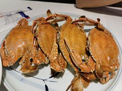 -小螺号海鲜·地道鲁菜(泉城广场店)