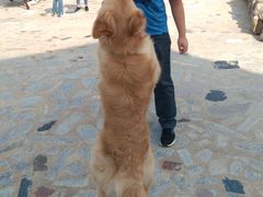 -北海金海湾红树林生态旅游区