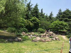 -共青国家森林公园-售票处