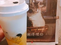 -喜茶(上海正大广场店)