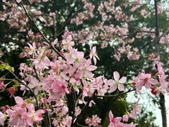 -广州市白云山风景名胜区