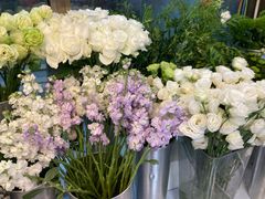 -怡花宜木鲜花店(朝阳路店)