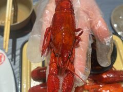 -肥肥虾庄·金牌油焖大虾(东湖欢乐谷店)