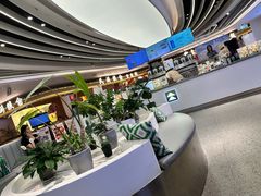 -茶芭蕾·新疆酸奶(美美1店)