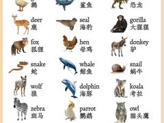-I-Shine英语国际教育(大三林中心)