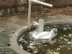 -上膳源有机农场