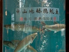 -谭厨中山传家菜.乳鸽.脆鲩鱼(华强北中航城店)