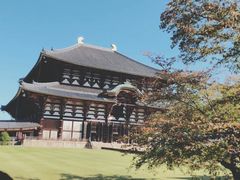-奈良公园
