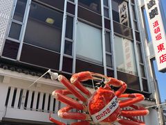 -蟹道乐(道顿堀本店)