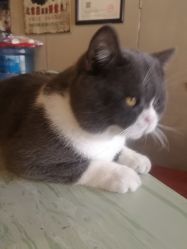 -男人味男士理发馆barbershop