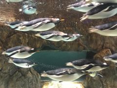 -成都浩海立方海洋公园