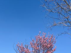 -云禾壹海景庄园餐厅