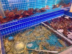 水产区-乔哥铭洋海鲜自助(皇城恒隆广场店)