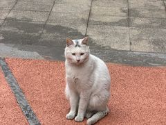 -浙江大学(玉泉校区)