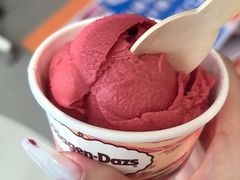 -哈根达斯(大洋百货店)