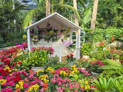 -国家植物园南园