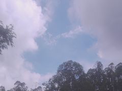 -火炉山森林公园