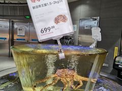 帝王蟹-盒马鲜生(悠方店)